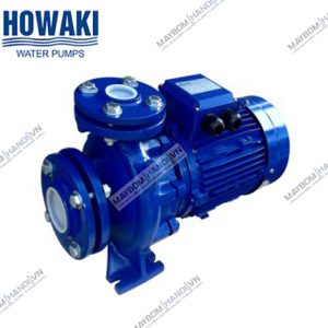 Máy bơm ly tâm trục ngang Howaki CM 65-125A (7.5 kw) 2